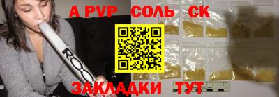 СК Кингисепп