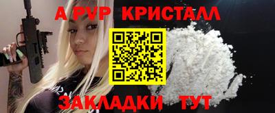 СК Кингисепп