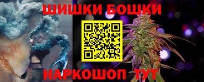 СК Кингисепп