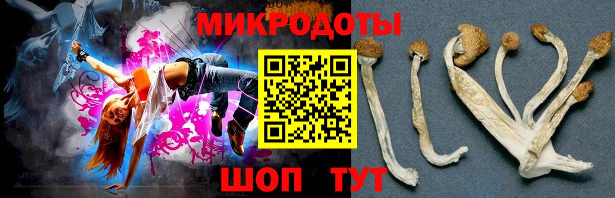 Галлюциногенные грибы прущие грибы  Вход с VPN  Галлюциногенные грибы мухоморы  Дагестанские Огни 