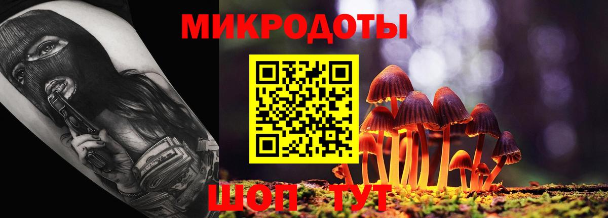Псилоцибиновые грибы Psilocybe Дагестанские Огни